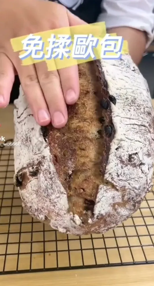 歐包準備材料:核桃、蔓越莓、葡萄乾等。酵母5克、水313克、高筋麵粉266克、黑麥粉133克、鹽8克。TikTok@jason_wu6666 提供