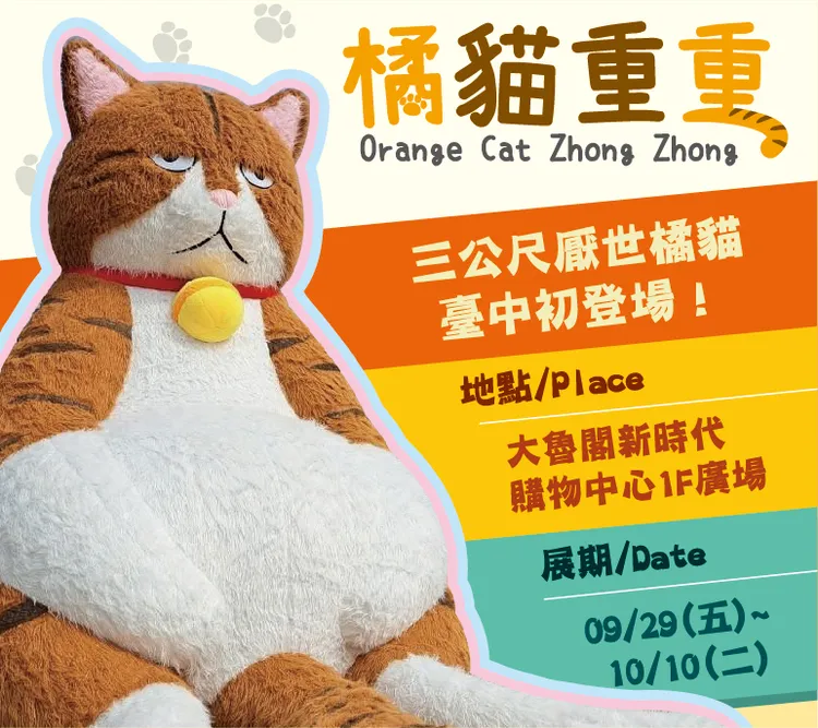 橘貓重重長得一張高級厭世臉。業者提供