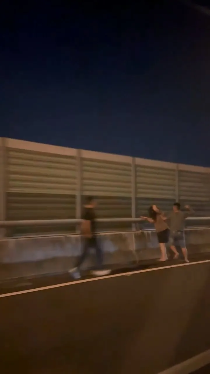 黃男在快速道路上追打妻子，駕駛林男則上前勸架。民眾提供