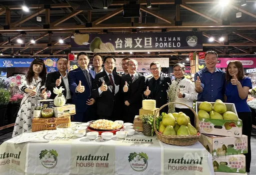 台南文旦拓銷新加坡 搶中秋商機