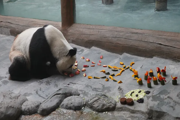 中秋節蔬果大餐。新華社