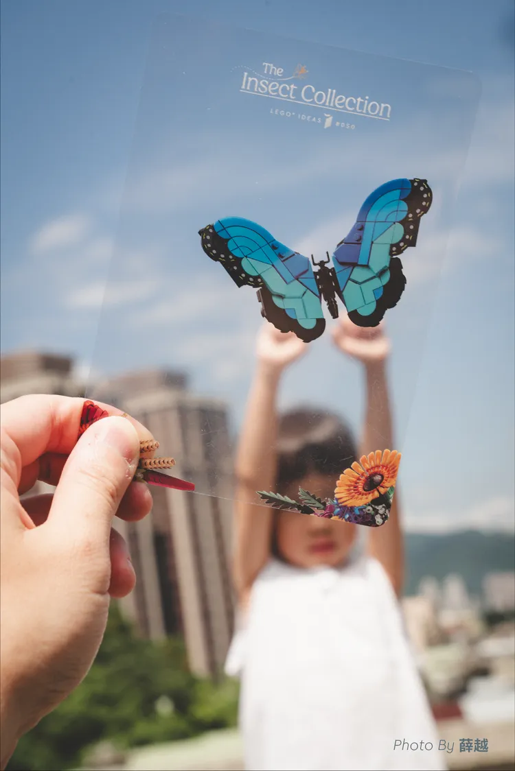 LEGO推出昆蟲主題盒組。品牌提供