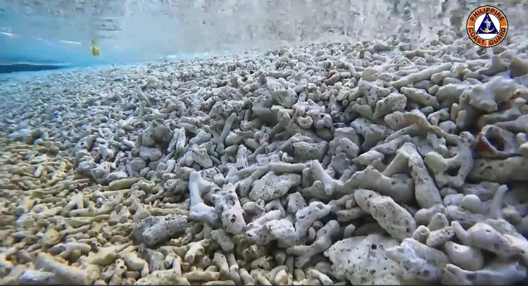 翻攝菲律賓海巡隊臉書@Philippine Coast Guard