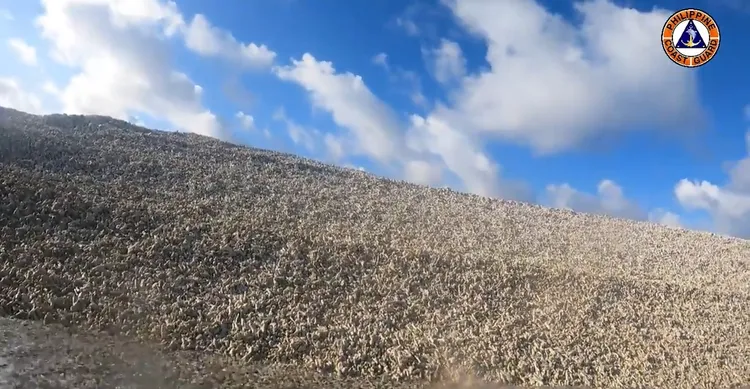 翻攝菲律賓海巡隊臉書@Philippine Coast Guard