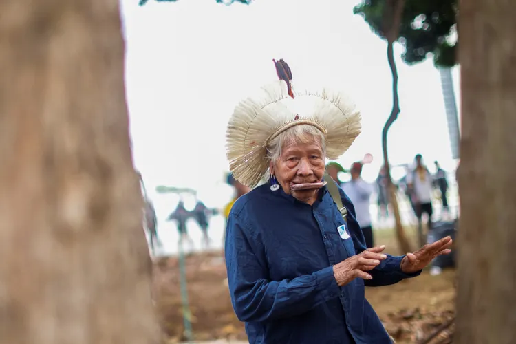 巴西部落領袖麥修戴爾致力反對森林砍伐。路透社