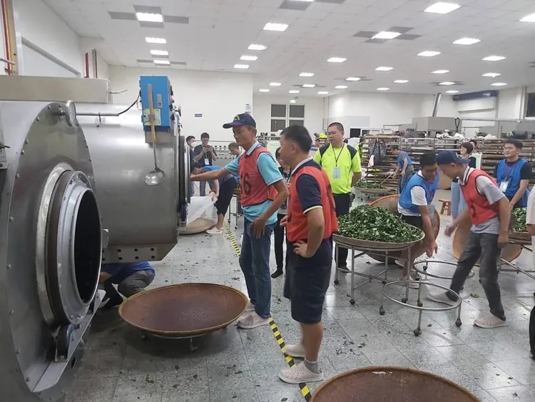 製茶技術競賽條形包種茶組參加的茶師，來自臺北市、桃園市、苗栗縣、南投縣、宜蘭縣、花蓮縣、臺東縣，進行2天1夜的挑燈夜戰製茶技術競賽。農業局提供