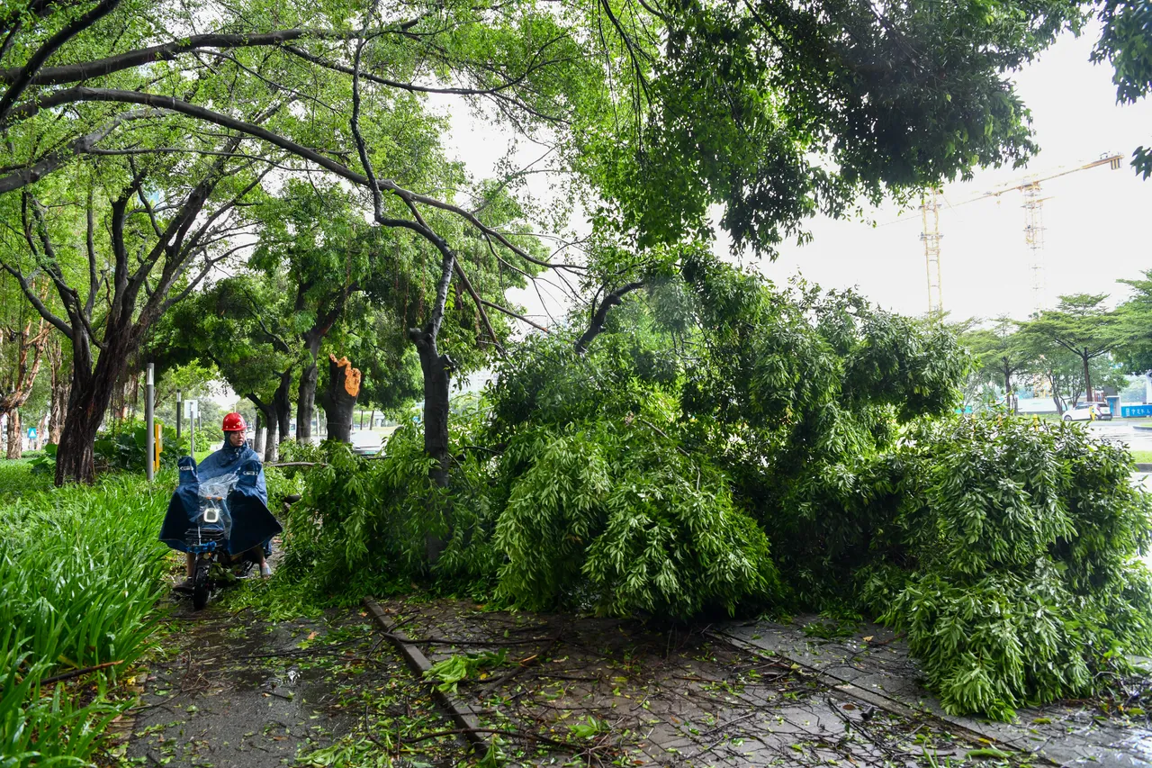 深圳深南大道,新華社