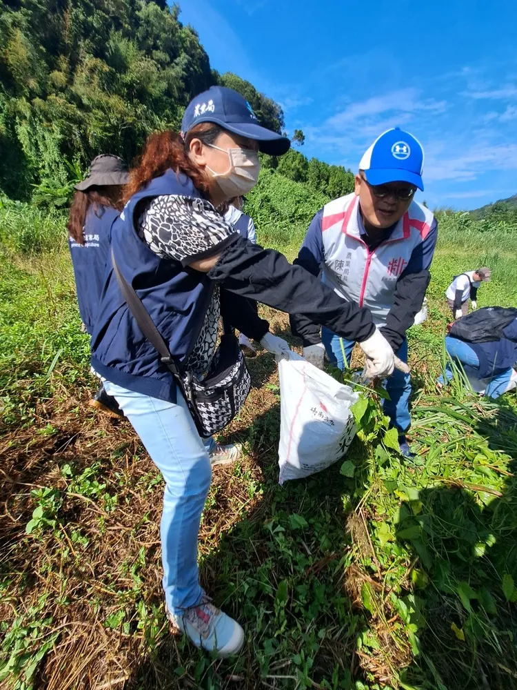 裝袋。桃園市農業局提供