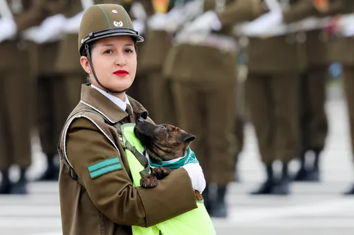 正妹胸前是萌犬 這一國閱兵大典你想閱的不是兵