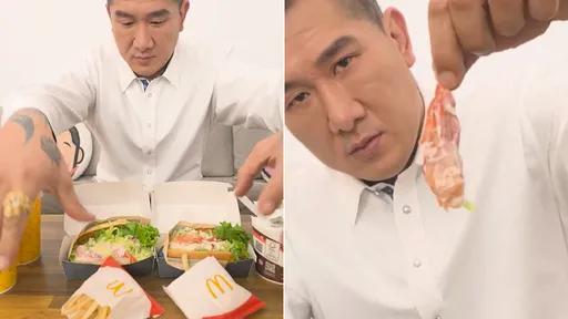 館長讚麥當勞螯龍蝦堡健康 「因為肉很少一堆菜」