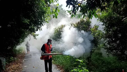 雲林縣3名師生確診登革熱!全校停課清消 全縣298例2死