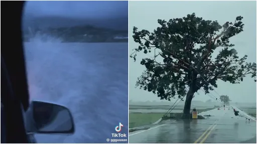 伯朗大道變「大海」!海葵豪雨肆虐 她破浪前行驚呼:是鴨子