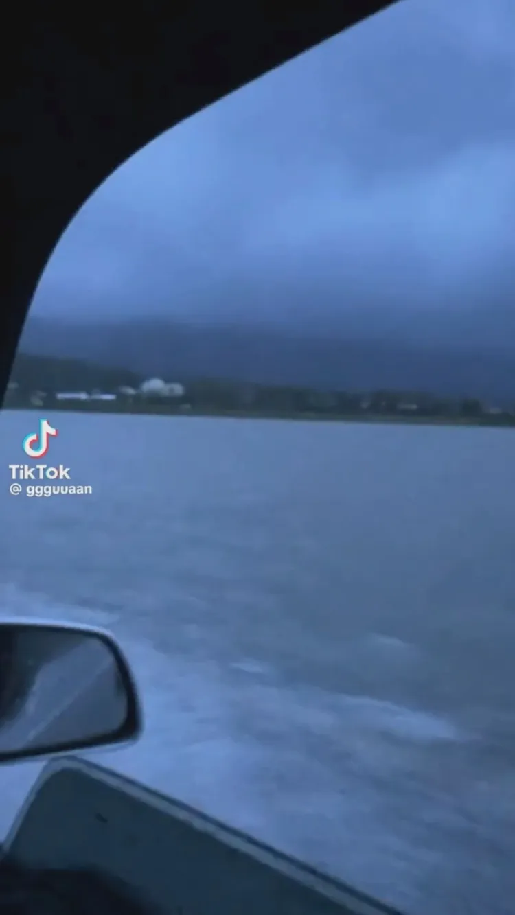 汽車在伯朗大道破浪前進。翻攝自抖音