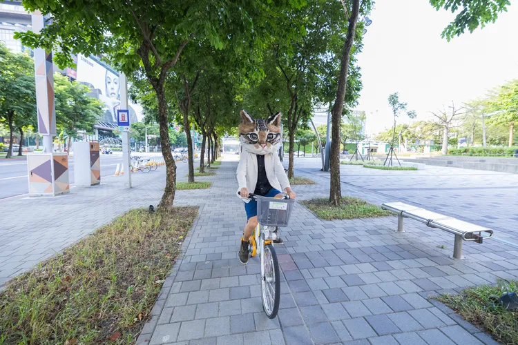 即將走馬上任的貓市長毛容容騎YouBike。文化局提供