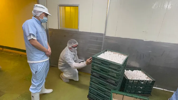 衛生局人員稽查。翻攝畫面