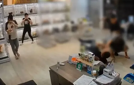 砍斷寵物店員工手臂竟先做這事　重置手機滅證！雙煞殺人未遂罪起訴