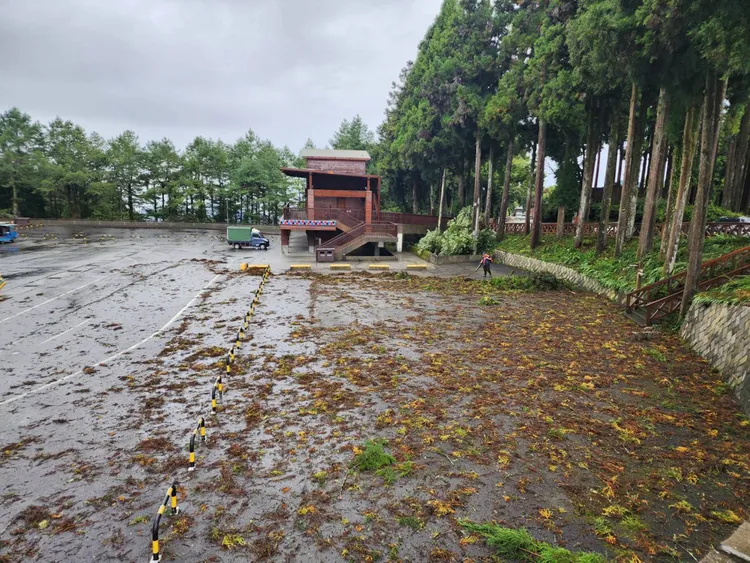 園區人員巡查、清理。嘉義分署提供