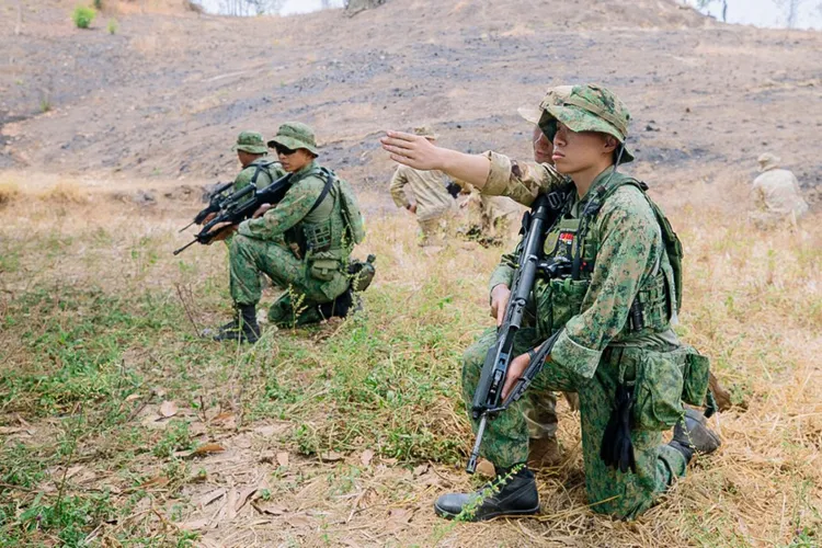 翻攝新加坡國防部網站