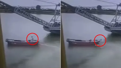 他駛經大船突倒栽落水　被自家小船螺旋槳絞殺斃命