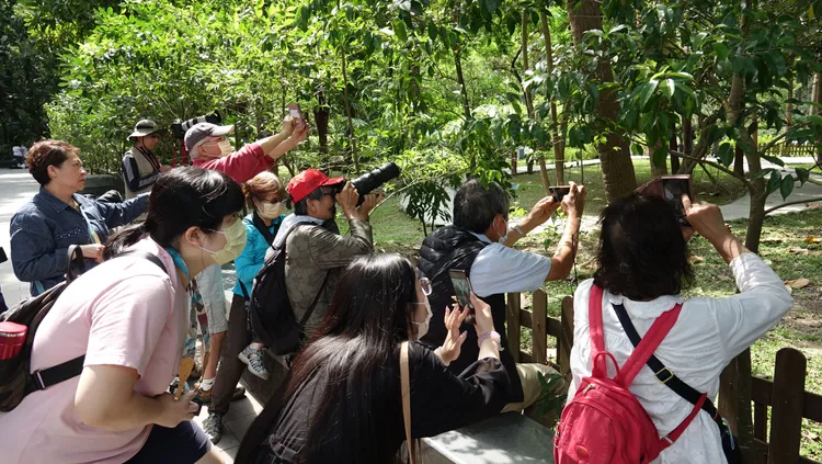 醫師建議列出在情緒低落時可以讓自己舒服的活動列表。資料照