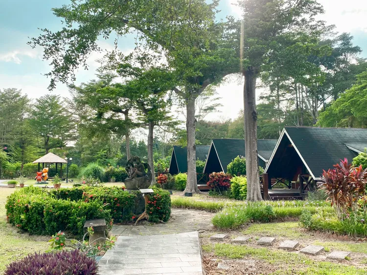 嘉義縣力推歐都納山野渡假村的原木屋。嘉縣府提供