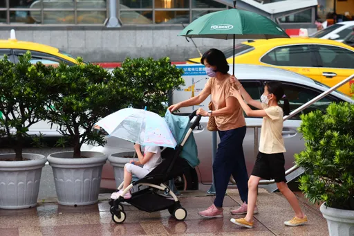 6件樹木倒塌、1件積淹水!北市府曝風雨劇時刻「少外出」