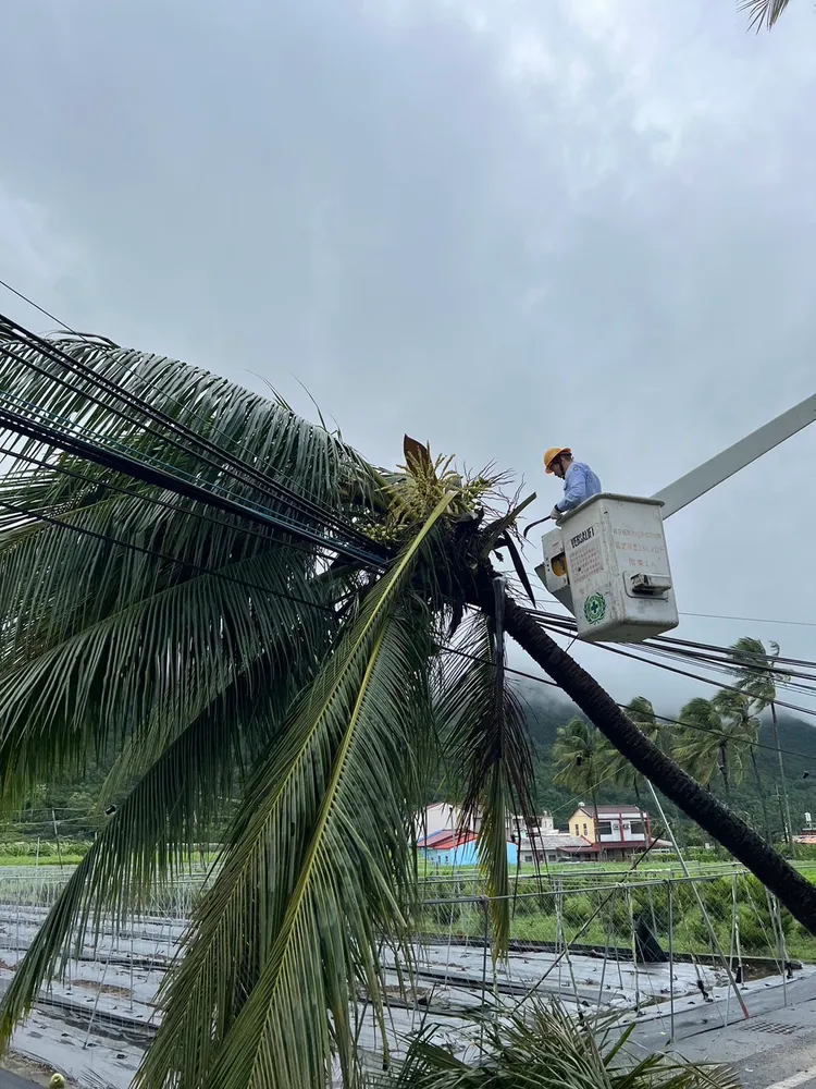 樹木傾倒壓壞輸電線，台電人員搶修中。台電提供