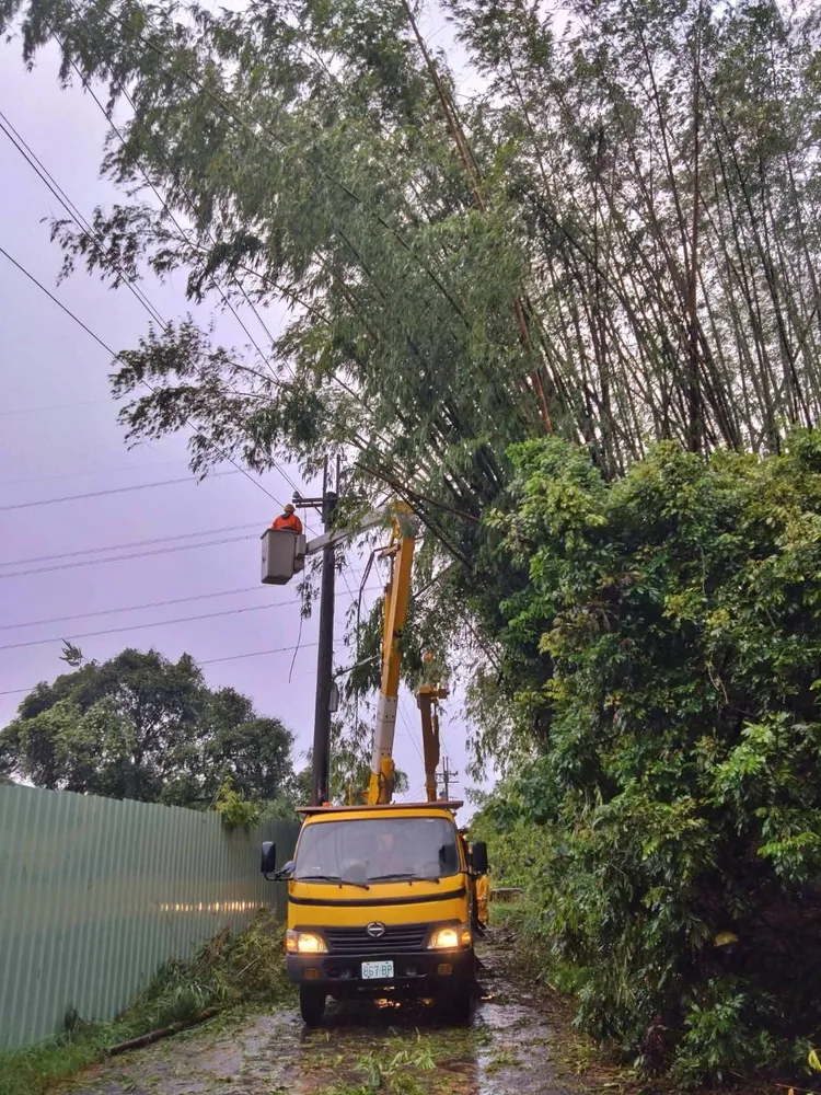 樹木傾倒壓壞輸電線，台電人員搶修中。台電提供
