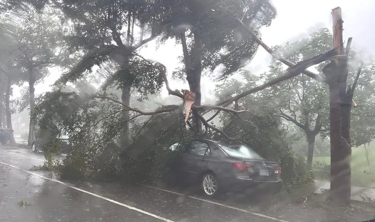 海葵颱風遭成台東多數受損。中央社