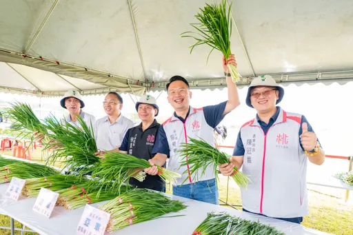 大溪「水岸韭菜花季」今天登場  賞遊拍美照還能享受美食