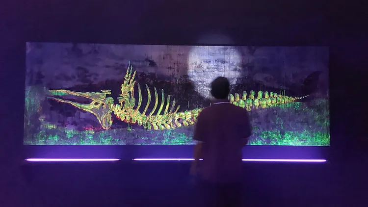 林純用個展透過鯨豚、海廢、消波塊、工業城市、歷史和政治等元素的編織，勾勒出台灣自身黑色文化的多重層面。凃建豐攝