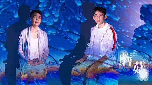 賴佩霞辭演害《蘑菇》退票 女星自薦救火!眾人力挺:我給滿分