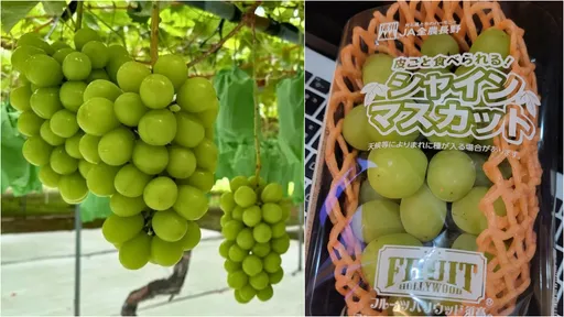 麝香葡萄出現流血價!她一聽秒買3盒 網驚:目前最便宜