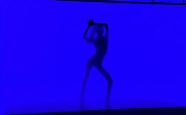 Lisa在IG秀可能是彩排的剪影影片。翻攝Lisa的IG