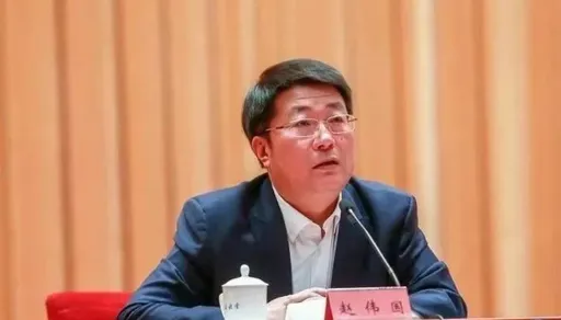 曾呛买下台积电!紫光前董座赵伟国认贪污罪 被控致中国损失60亿