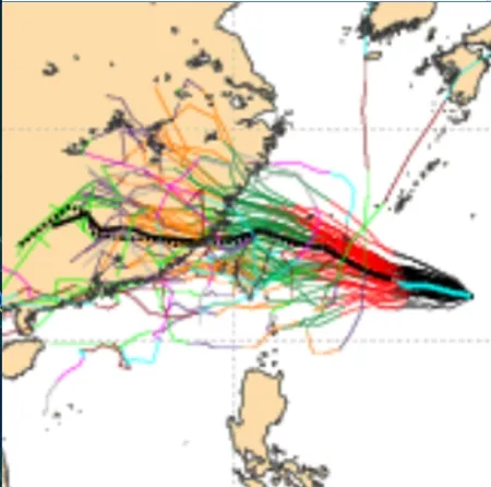 歐洲模式模擬海葵路徑，非常分散，主要有3大走向，代表不確性很高。翻攝「三立準氣象·老大洩天機」專欄
