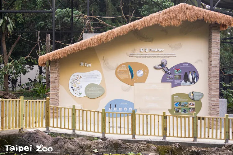 美觀的新雉科珍禽展區明天開幕。台北動物園提供