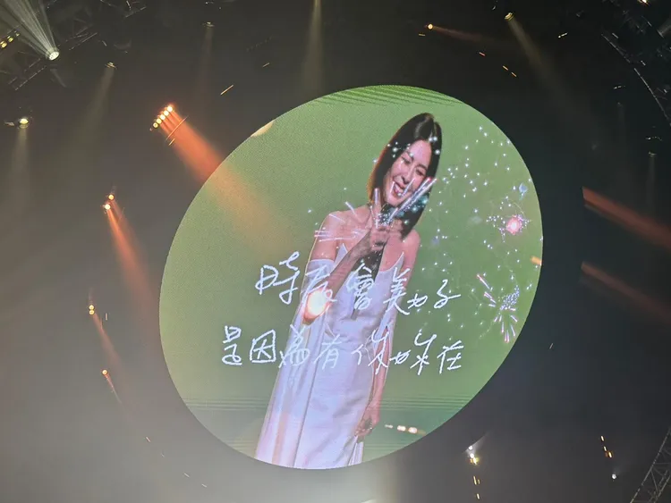 許茹芸的演唱會很感人。讀者提供