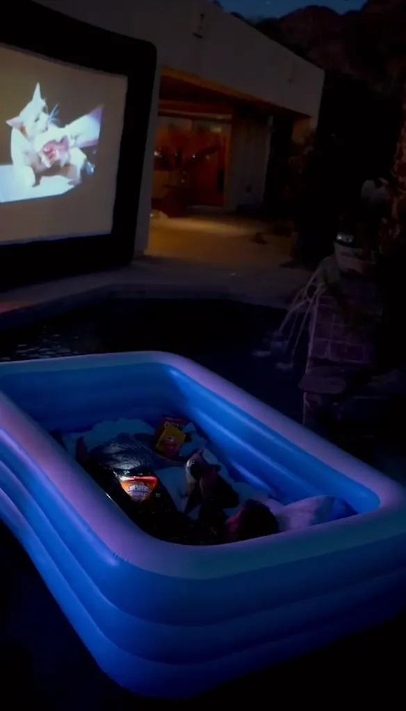 在泳池裡躺在泳圈上看影片吃零食，另類享受。IG@austin_sprinz 提供