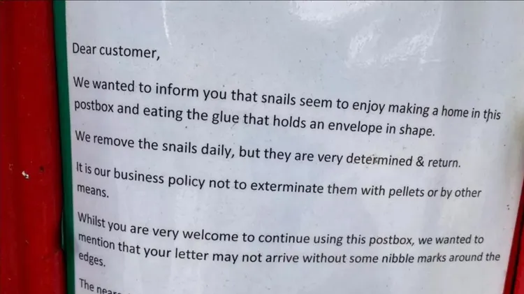 皇家郵政公告蝸牛入侵住戶郵箱，啃食郵件。翻攝Google地圖