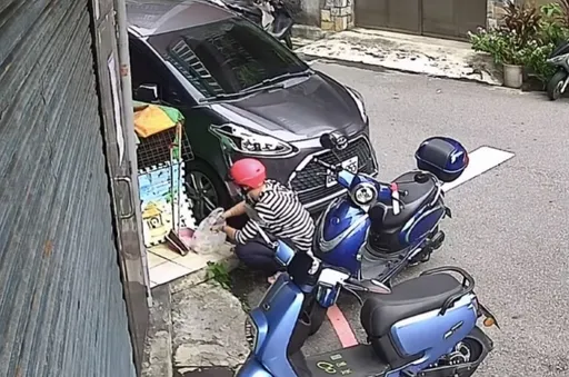 好意餵這東西竟意外害死15歲老狗 婦人到案喊冤「看狗太瘦了」