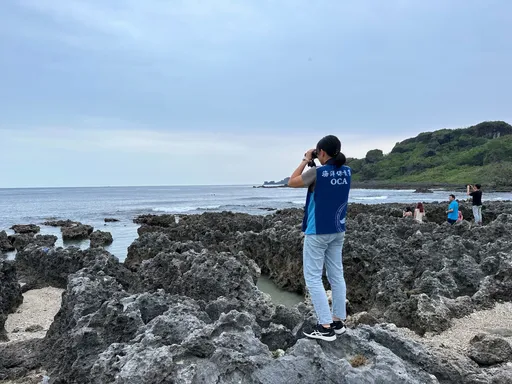 幼年海豚滯留墾丁!活動力不佳 海保署籲民眾發現後協助通報