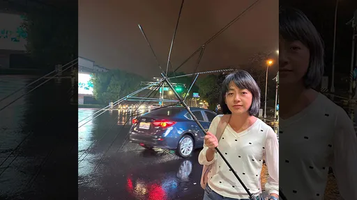 小犬助威竹風拆傘　王婉諭喊小心「尤其北北基桃要上班課的各位」