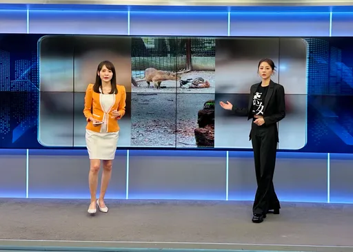 邵雨薇「重回」主播台 看到「秘密武器」驚訝喊:太有人性