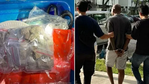 新加坡全島大掃毒 逮捕134人最年輕者僅14歲