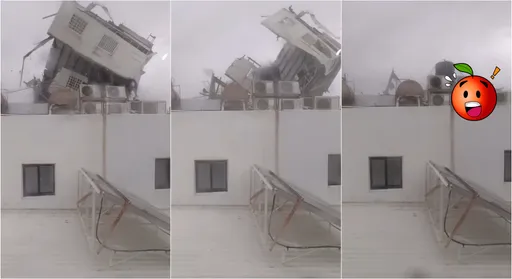 小犬好兇!鐵皮屋「瞬間起飛」影片曝光 目擊者驚喊:阿彌陀佛