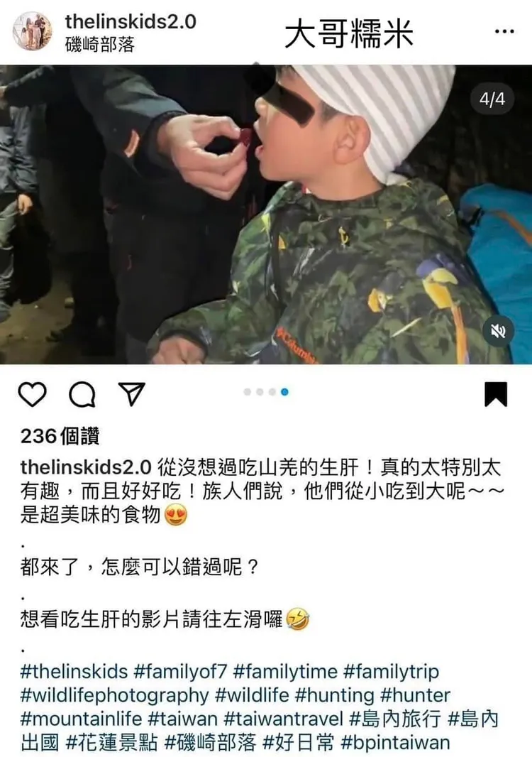 七寶爸媽帶幼兒參加狩獵還生吃山羌肝臟。翻攝畫面