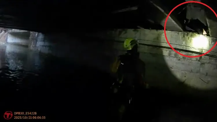 紀男躲在橋下被警消尋獲。民眾提供