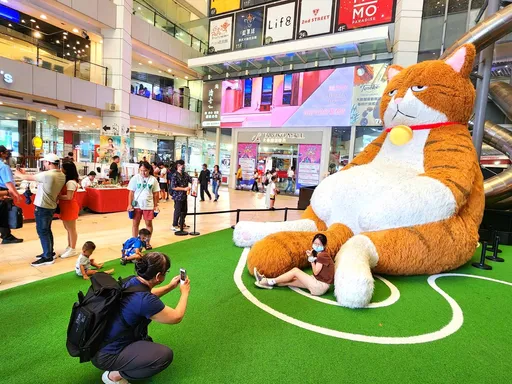 3米高「橘貓重重」快閃台中大魯閣 高級厭世臉好療癒
