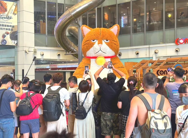 橘貓重重經典座右銘為「大橘為重，我不想動」，慵懶坐姿搭配一張高級厭世臉，迅速爆紅。業者提供